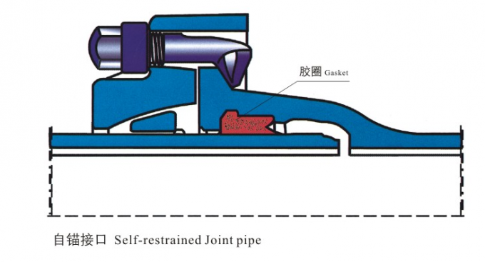 L'individu EN545 a retenu le tuyau malléable commun de fer avec la connexion flexible