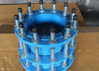 Le fer malléable d'anti rouille joint le joint PN25 de Dismanlting pour la connexion de tuyau fournisseur